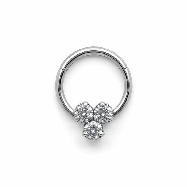 /xlsx/septum/nose-septum-piercing-3040.webp