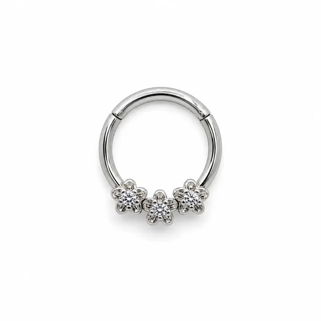 /xlsx/septum/nose-septum-piercing-3080.webp