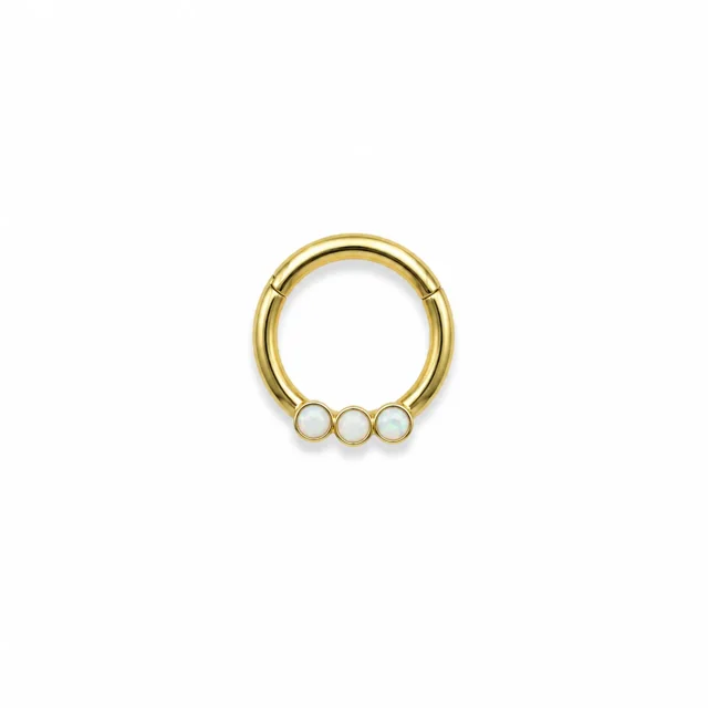 /xlsx/septum/nose-septum-piercing-3085.webp