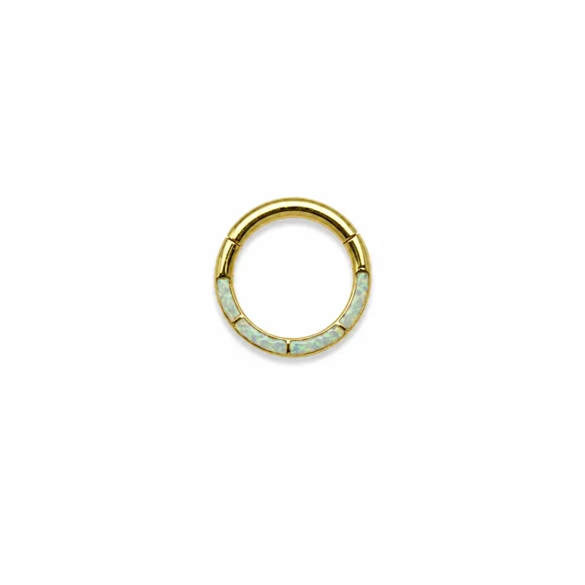 /xlsx/septum/nose-septum-piercing-3094.webp